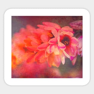 Ixia Dreaming Flowers Sticker